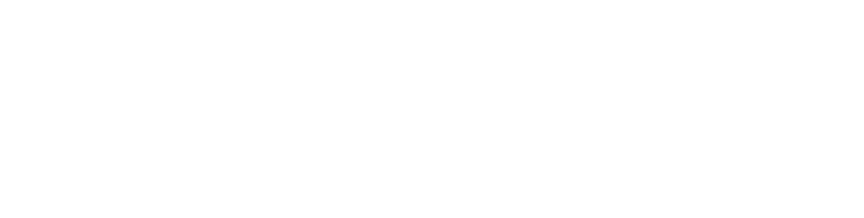 Drivers and values Pieter